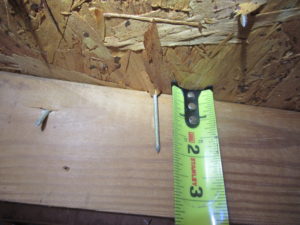 Close-up image of a nail embedded in wooden decking, with a tape measure showing the nail's length.